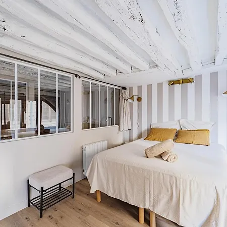 2br Next To Notre Dame De Paris